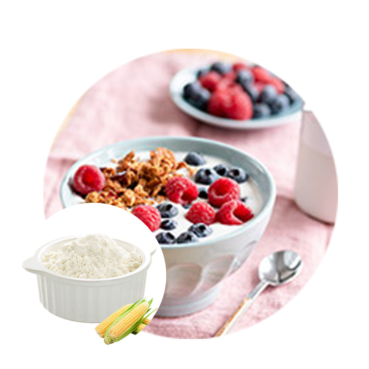 Corn pre gelatinized modified starch