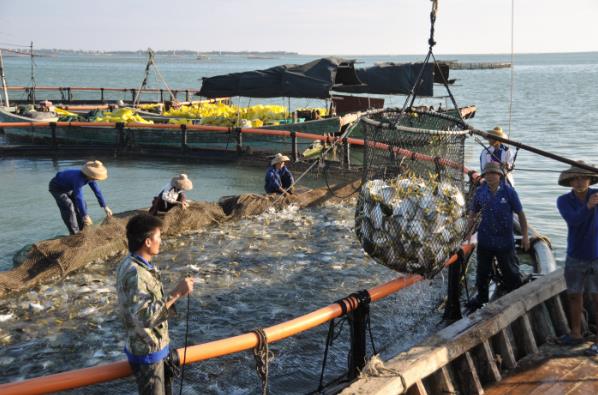 Modified starch powder for daily chemical industry