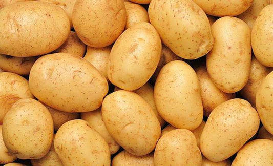 Carbohydrates contain the most abundant potato starch nutrition