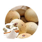 Cassava  Flour Wholesale Tapioca Modified Starch Acetate Starch Thickener Powder