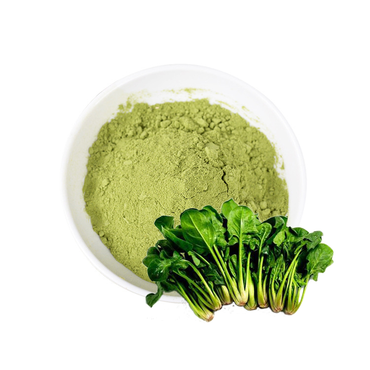 Healthy Organic Green Vegetable Powder Spinach Powder