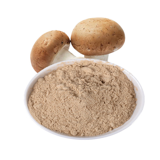 Factory Organic Reishi Mushroom Powder Extract 5:1 10:1 20:1