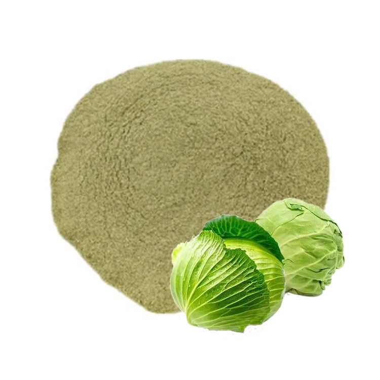 Natural cabbage extract powder high quality chinese cabbage extract powder food grade