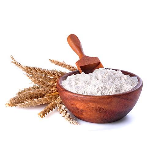 Good Quality professional exporter for wheat flour/starch at lowest price