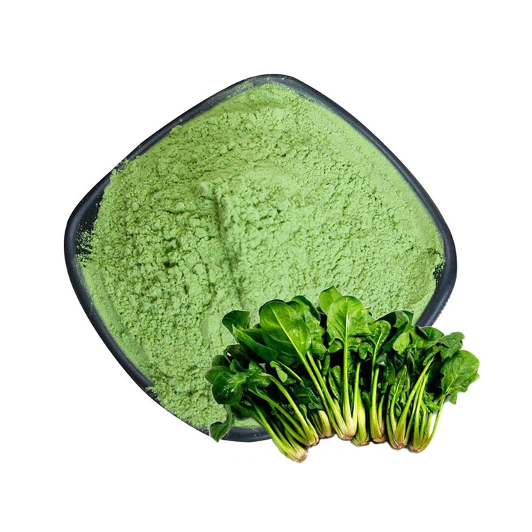 Natural Organic Spinach Extract Supplement Water Spinach Juice Extract Powder 5:1