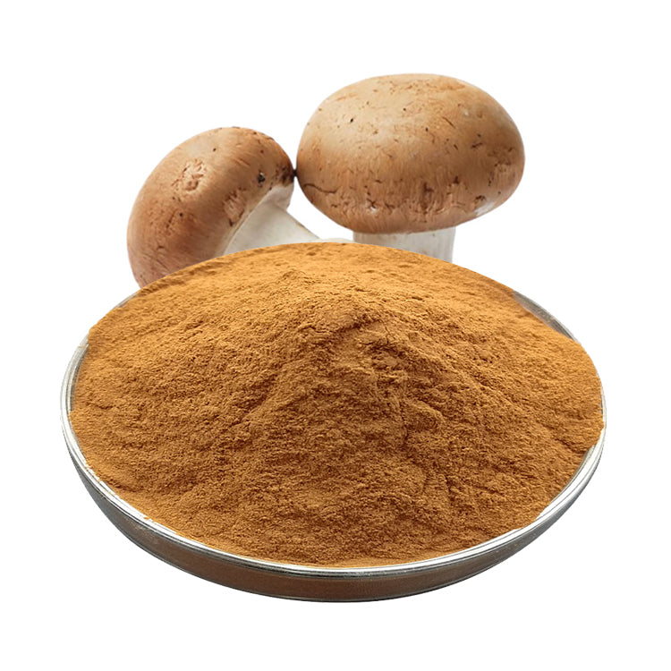 Factory Organic Reishi Mushroom Powder Extract 5:1 10:1 20:1