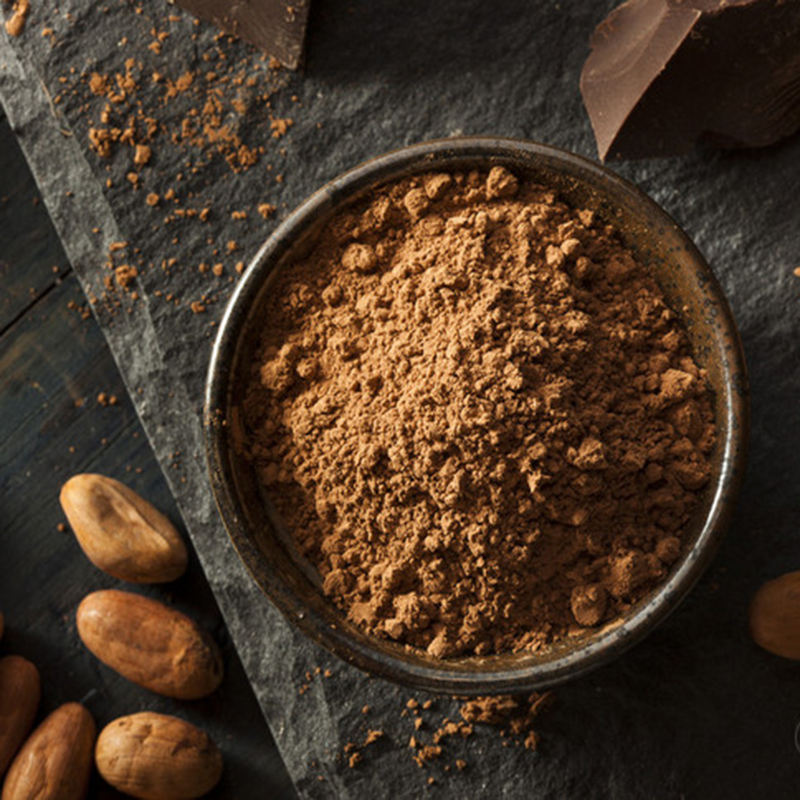 Alkalized cocoa powder 10-14% China factory directly supply