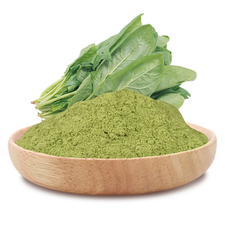 Natural Organic Spinach Extract Supplement Water Spinach Juice Extract Powder 5:1