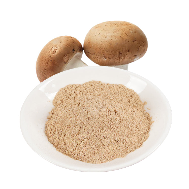 Food grade Best price Organic Mushroom Extract Powder