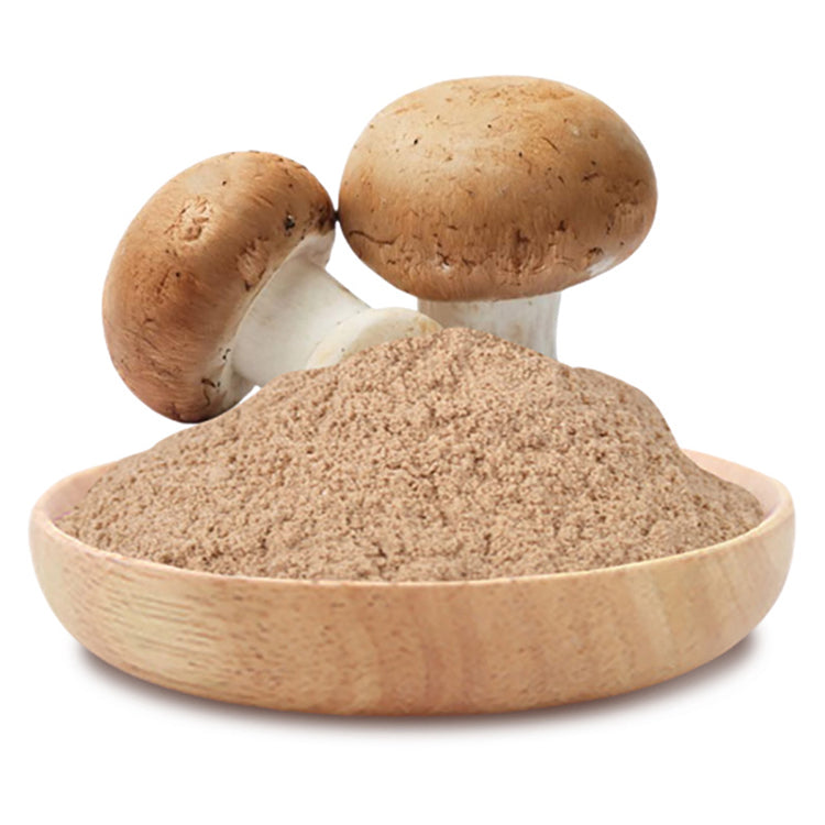 Factory Organic Reishi Mushroom Powder Extract 5:1 10:1 20:1