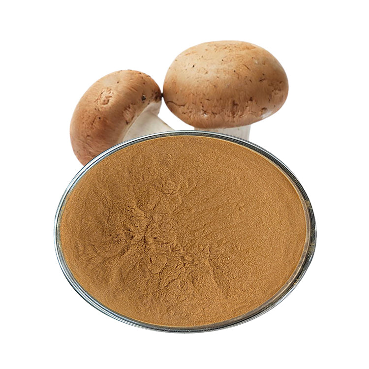 Food grade Best price Organic Mushroom Extract Powder